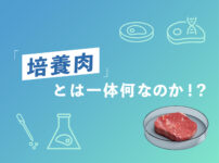 「培養肉」とは一体何なのか