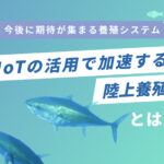 IoTの活用で加速する 陸上養殖とは？