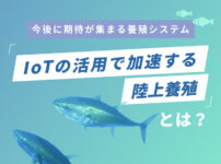 IoTの活用で加速する 陸上養殖とは？