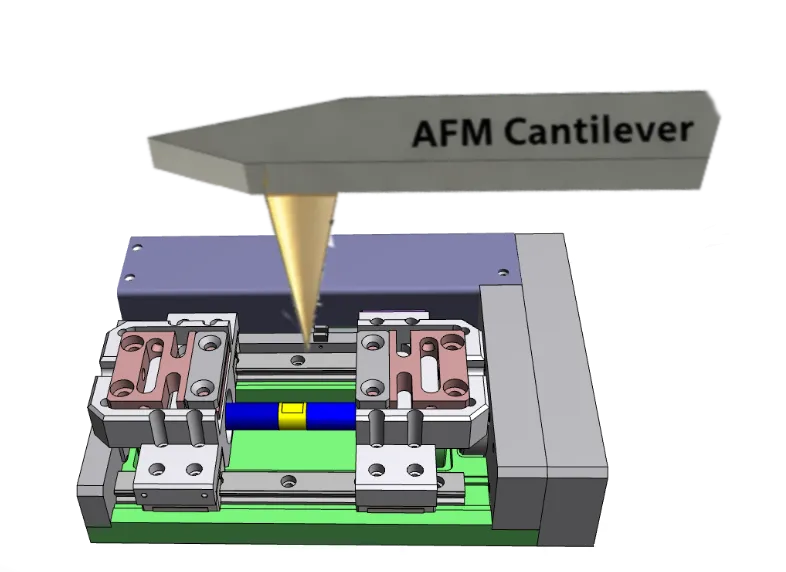 AFMとISL引張試験